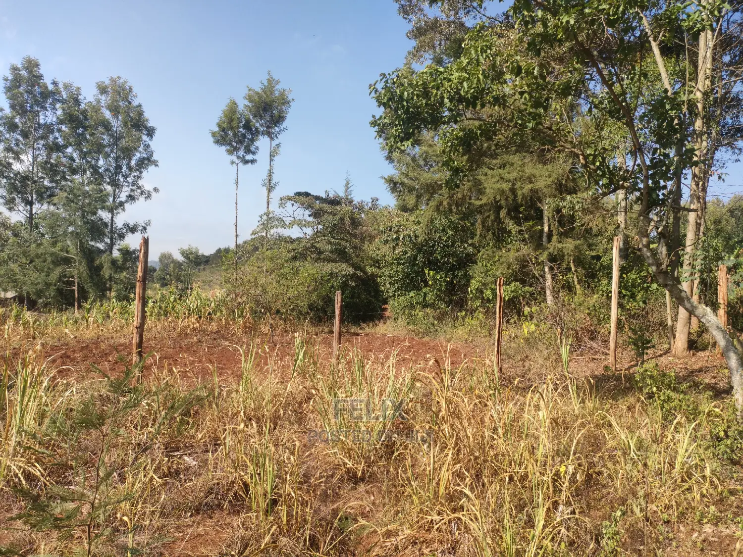 1 1/4acre Karatina/ Ngorano