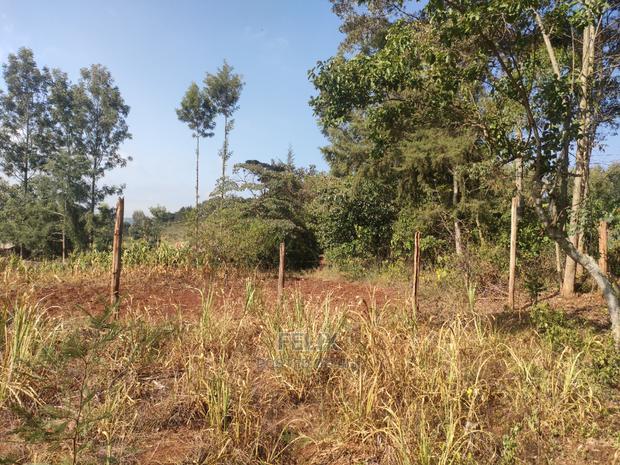 1 1/4acre Karatina/ Ngorano - thumbnail 5