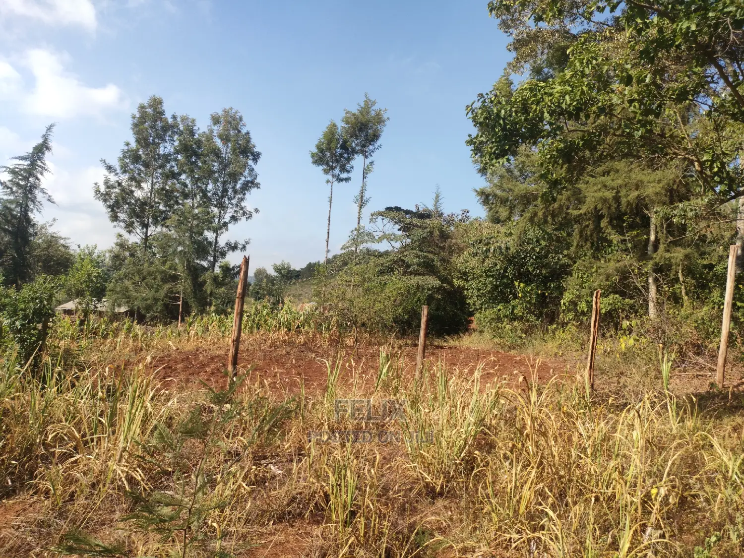 1 1/4acre Karatina/ Ngorano