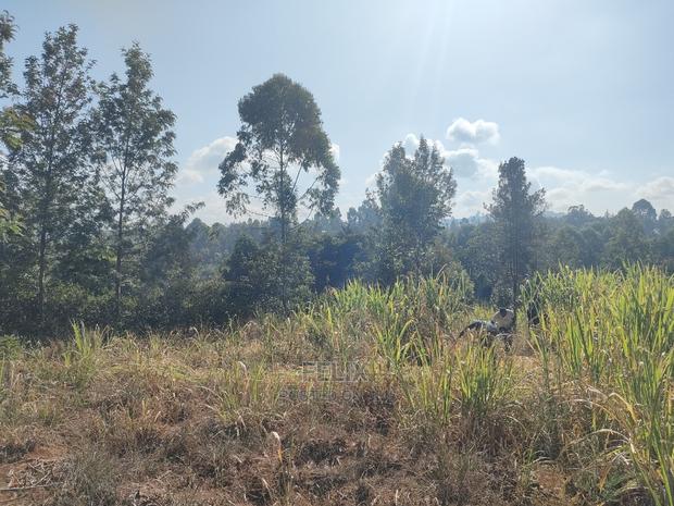 1 1/4acre Karatina/ Ngorano - thumbnail 7