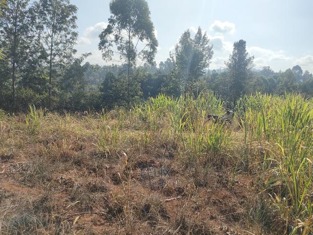 1 1/4acre Karatina/ Ngorano - thumbnail 10