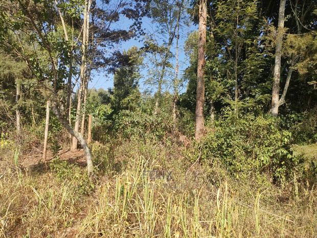 1 1/4acre Karatina/ Ngorano - thumbnail 13