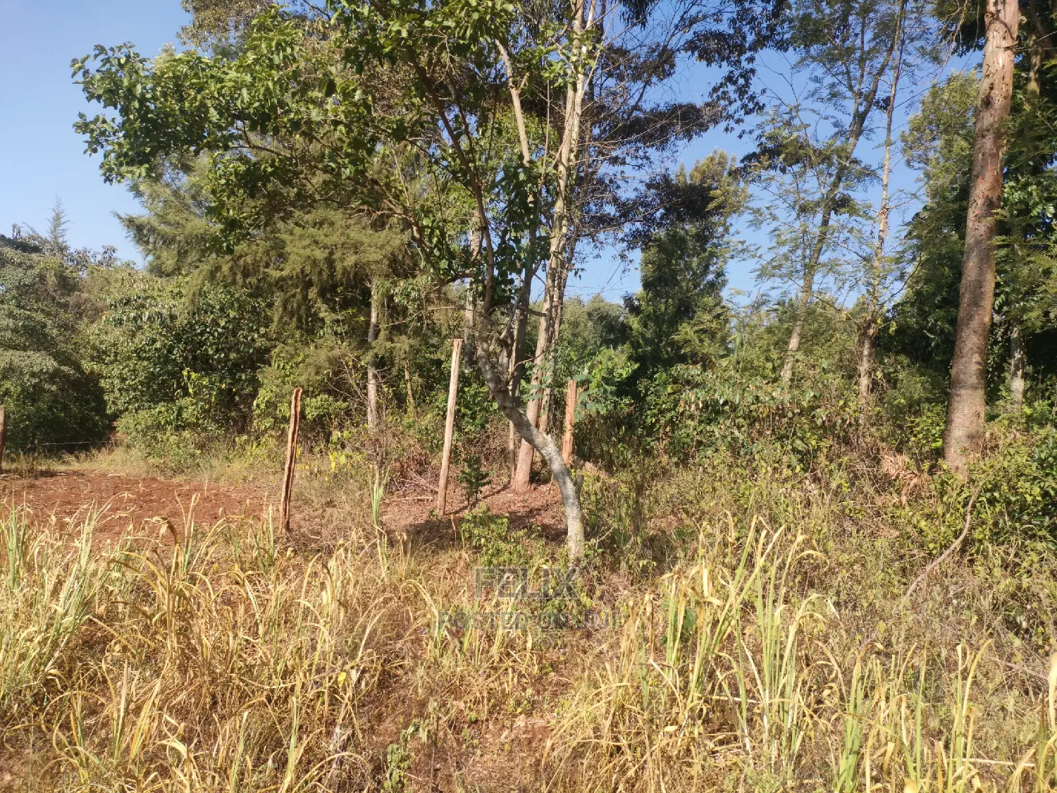 1 1/4acre Karatina/ Ngorano