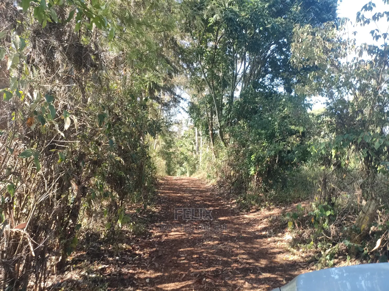1 1/4acre Karatina/ Ngorano