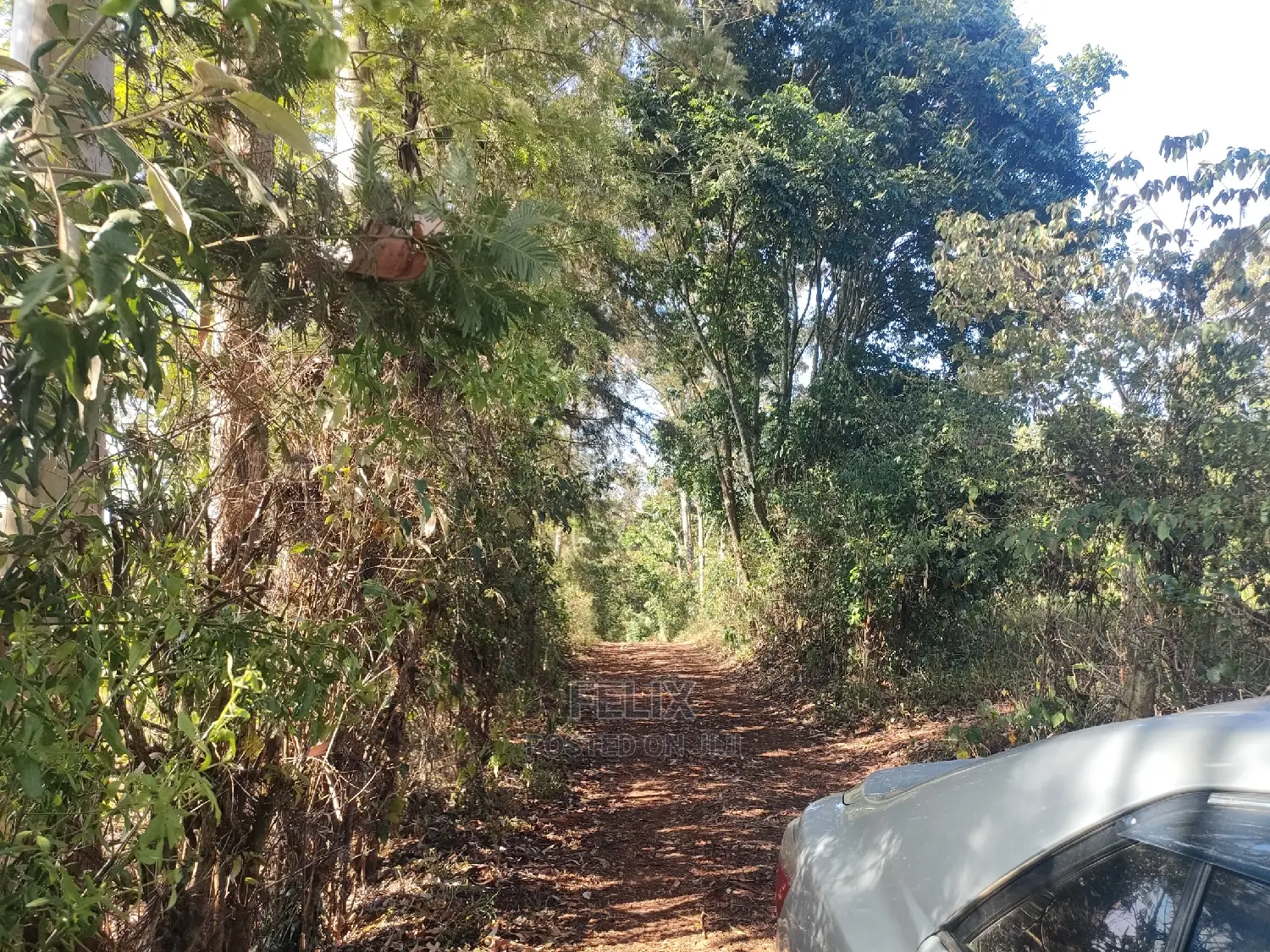 1 1/4acre Karatina/ Ngorano