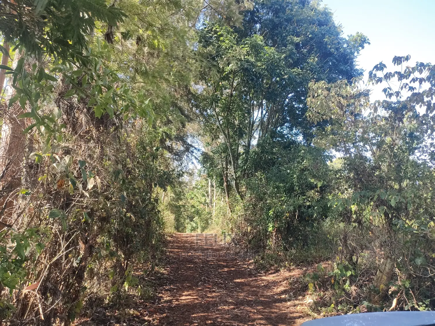 1 1/4acre Karatina/ Ngorano