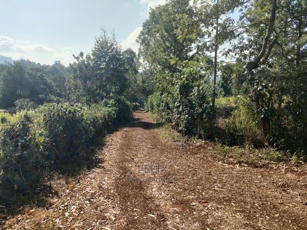 1 1/4acre Karatina/ Ngorano - thumbnail 19