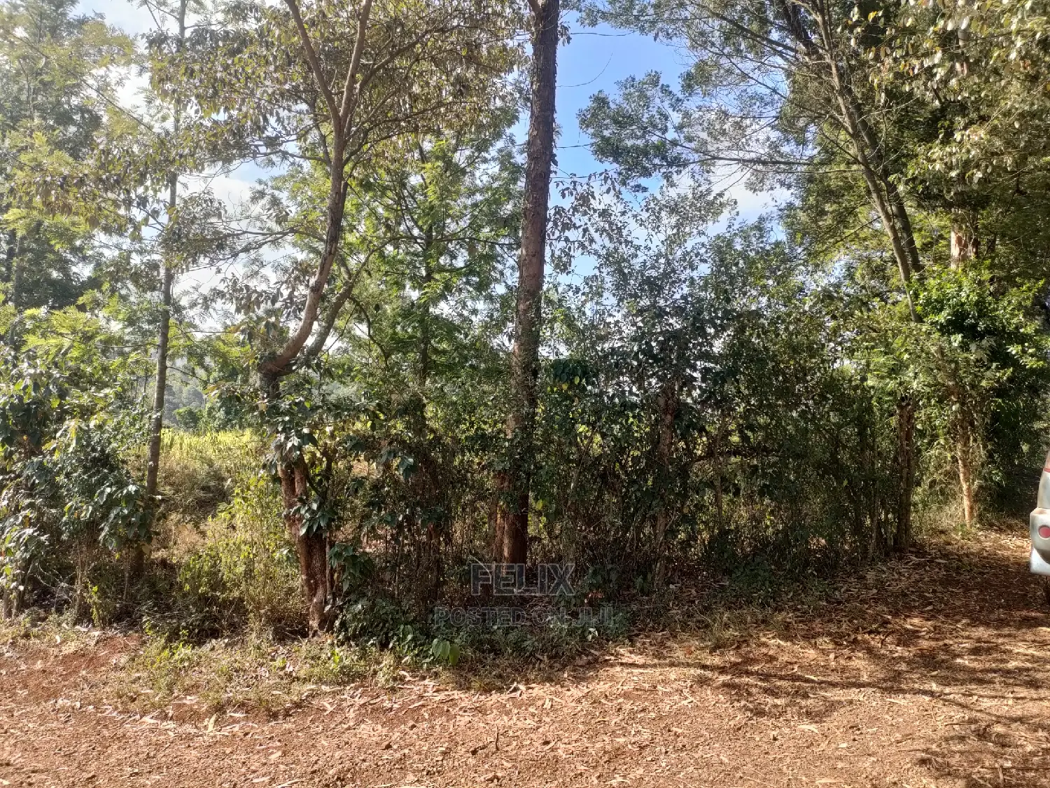 1 1/4acre Karatina/ Ngorano
