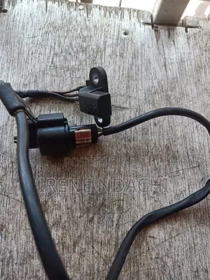 Crank Sensor Shogan