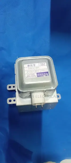 Microwave Magnetic Motor