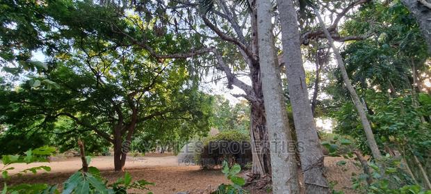 7 Acres Commercial Beach Property on Sale in Mtwapa - thumbnail 8