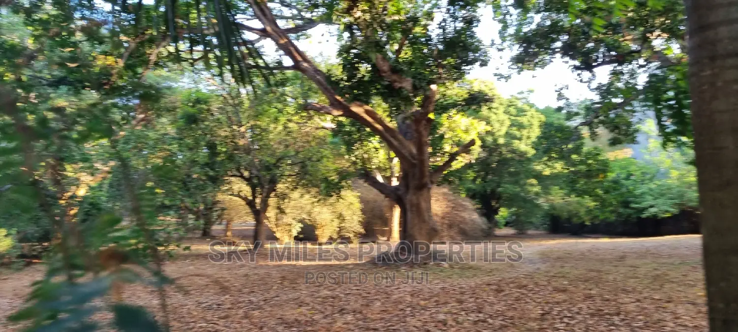 7 Acres Commercial Beach Property on Sale in Mtwapa