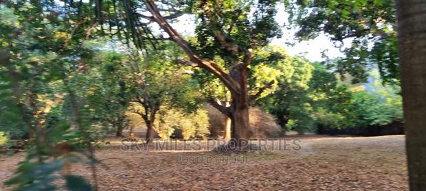 7 Acres Commercial Beach Property on Sale in Mtwapa - thumbnail 16