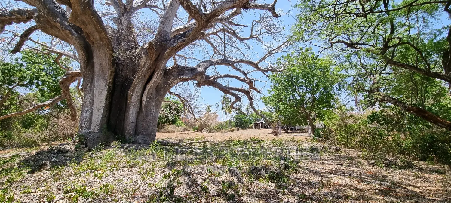 Kuruwitu,10 Acre Land on Sale