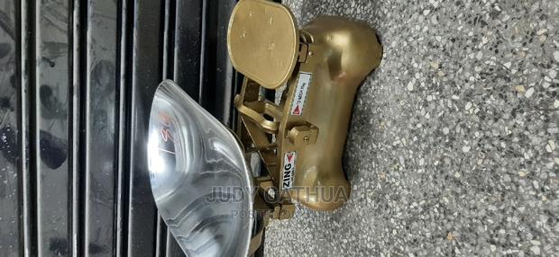 Zing Scale - main view