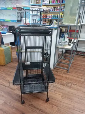 Huge Bird Cage