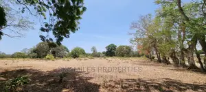 75 Acre Land on Sale in Vipingo Kuruwitu