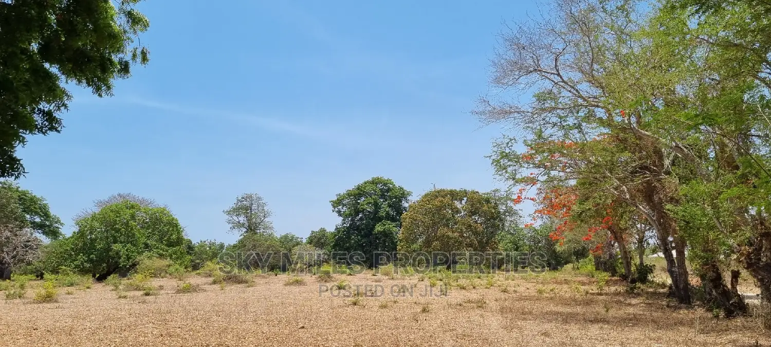 75 Acre Land on Sale in Vipingo Kuruwitu