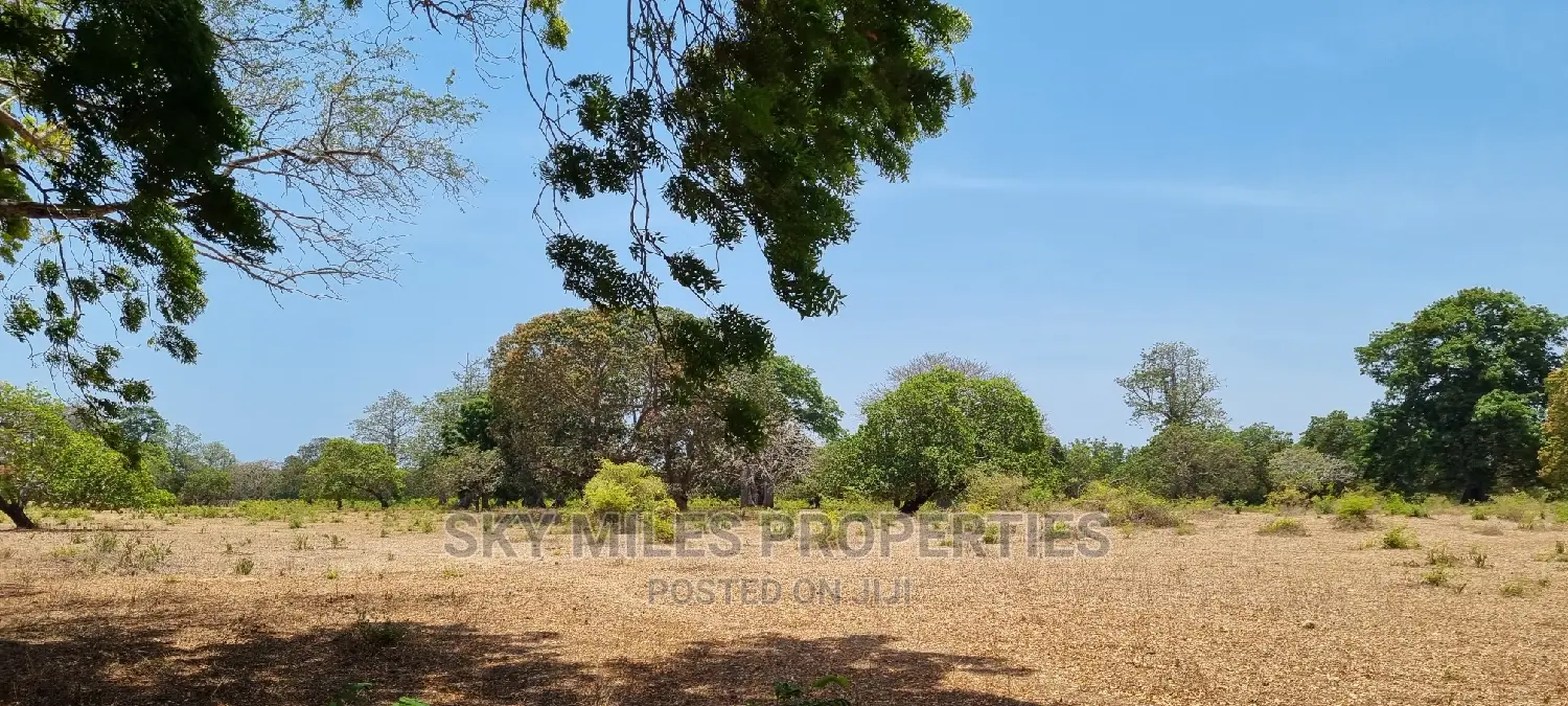 75 Acre Land on Sale in Vipingo Kuruwitu