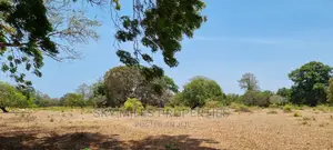 75 Acre Land on Sale in Vipingo Kuruwitu