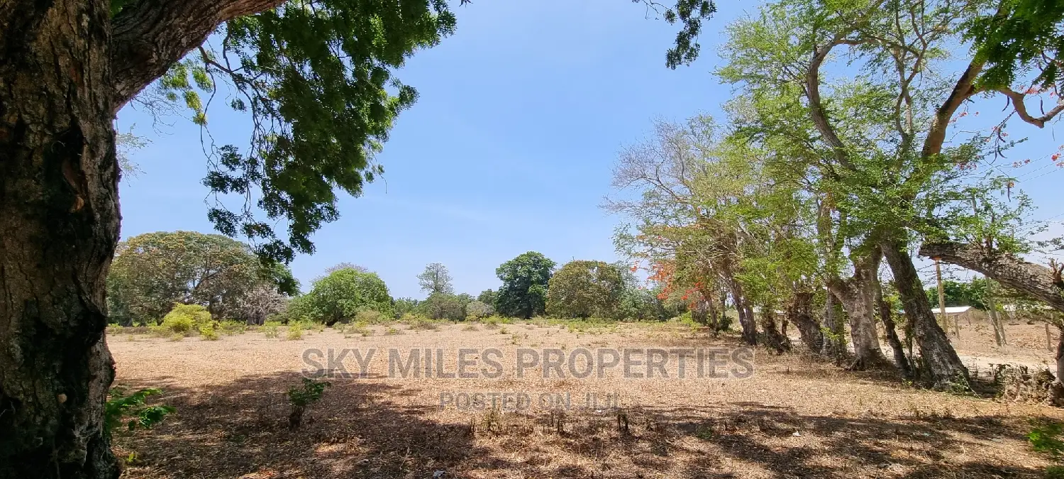 75 Acre Land on Sale in Vipingo Kuruwitu