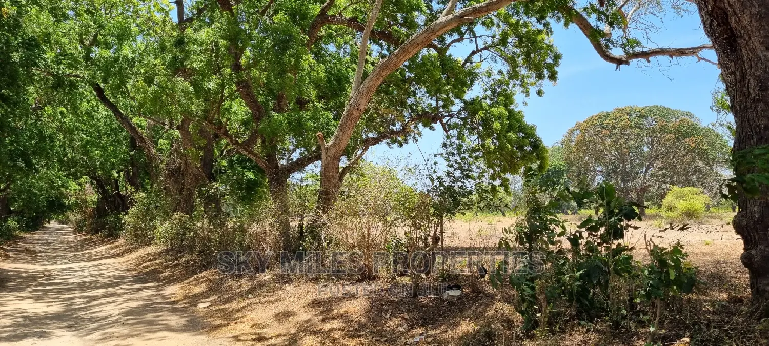 75 Acre Land on Sale in Vipingo Kuruwitu