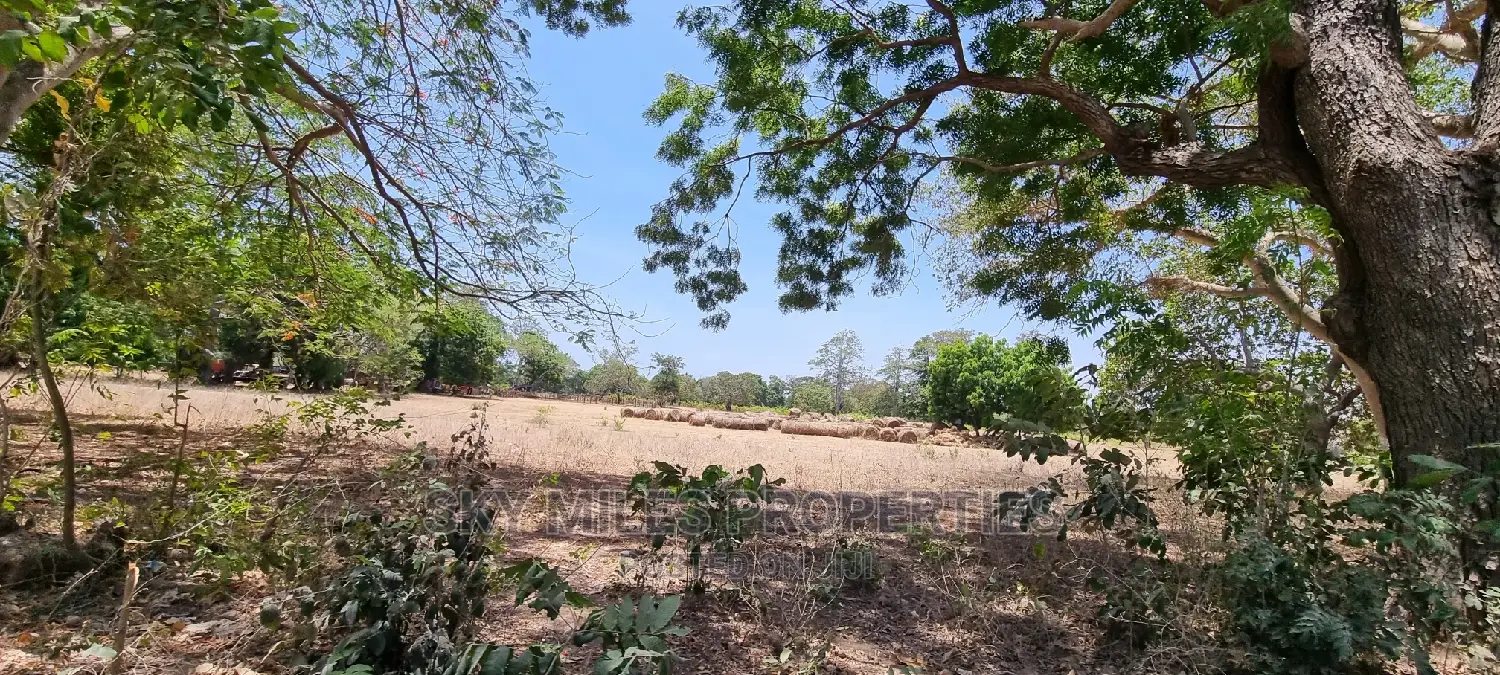 75 Acre Land on Sale in Vipingo Kuruwitu