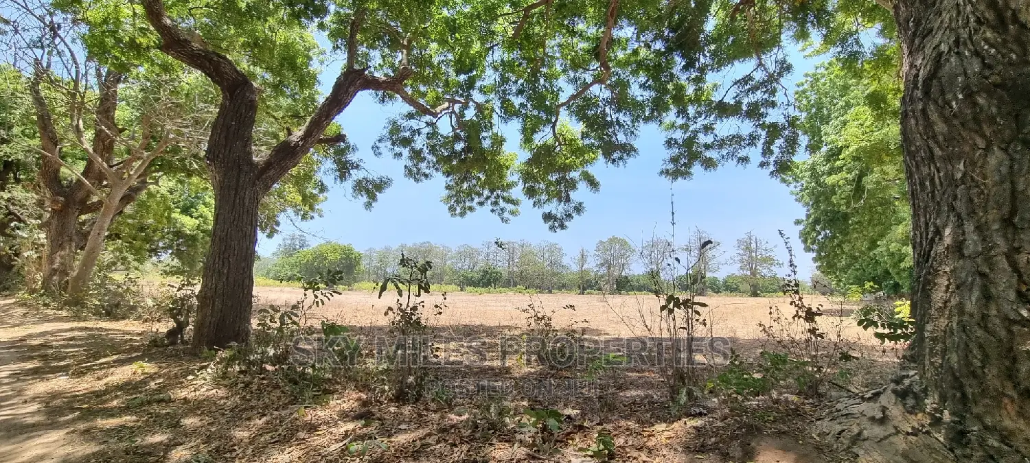 75 Acre Land on Sale in Vipingo Kuruwitu