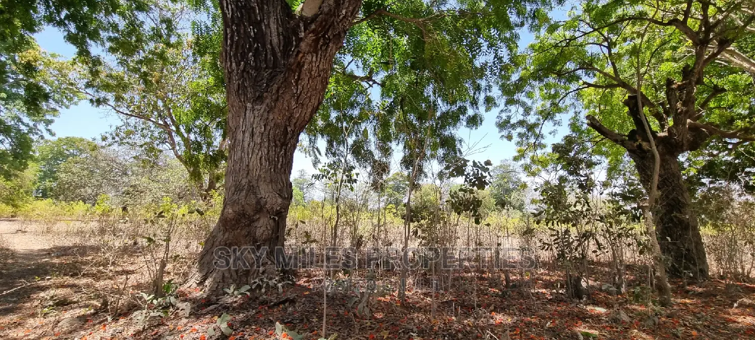 75 Acre Land on Sale in Vipingo Kuruwitu