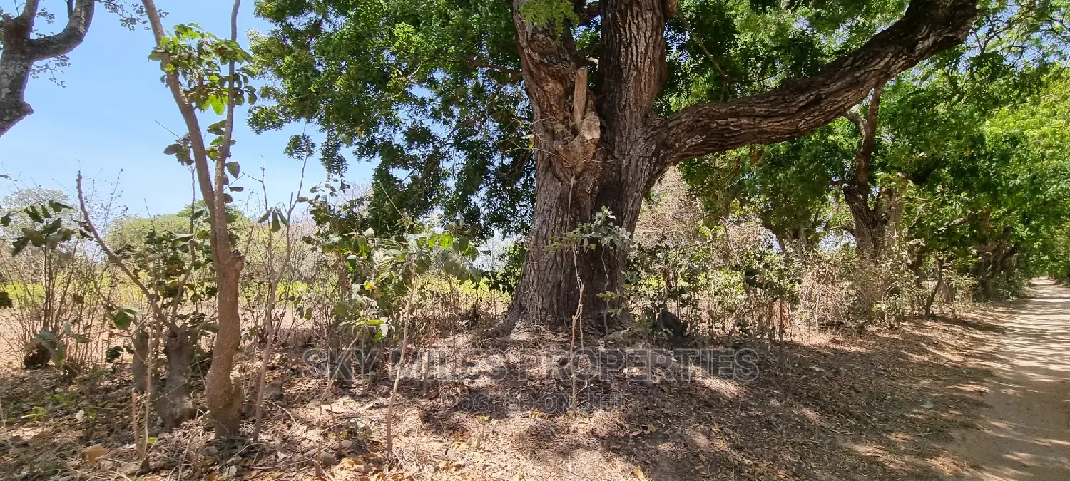 75 Acre Land on Sale in Vipingo Kuruwitu