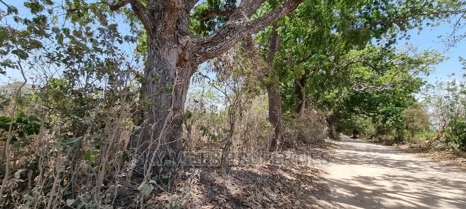 75 Acre Land on Sale in Vipingo Kuruwitu