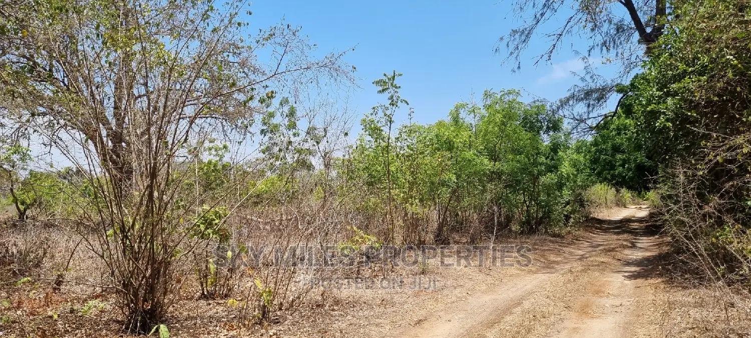 75 Acre Land on Sale in Vipingo Kuruwitu