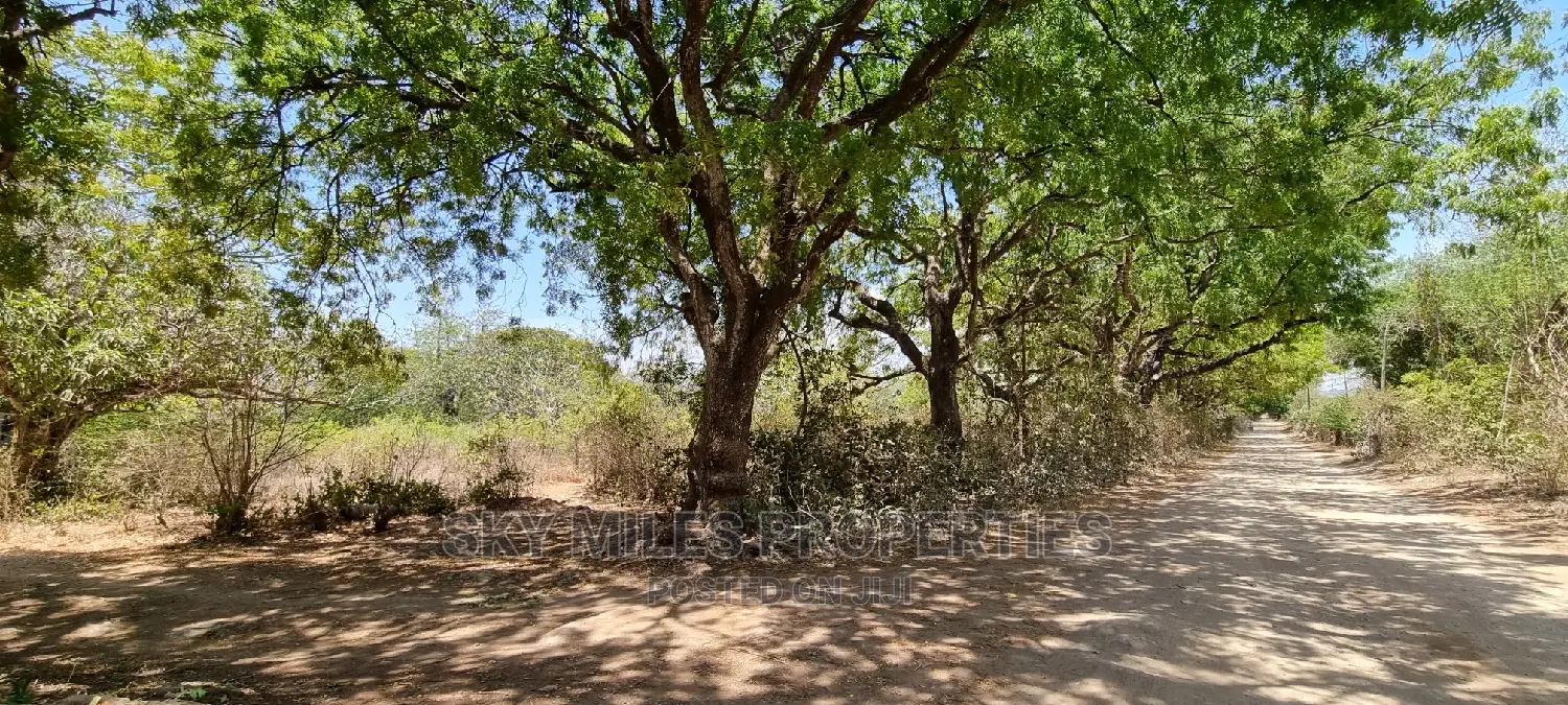 75 Acre Land on Sale in Vipingo Kuruwitu