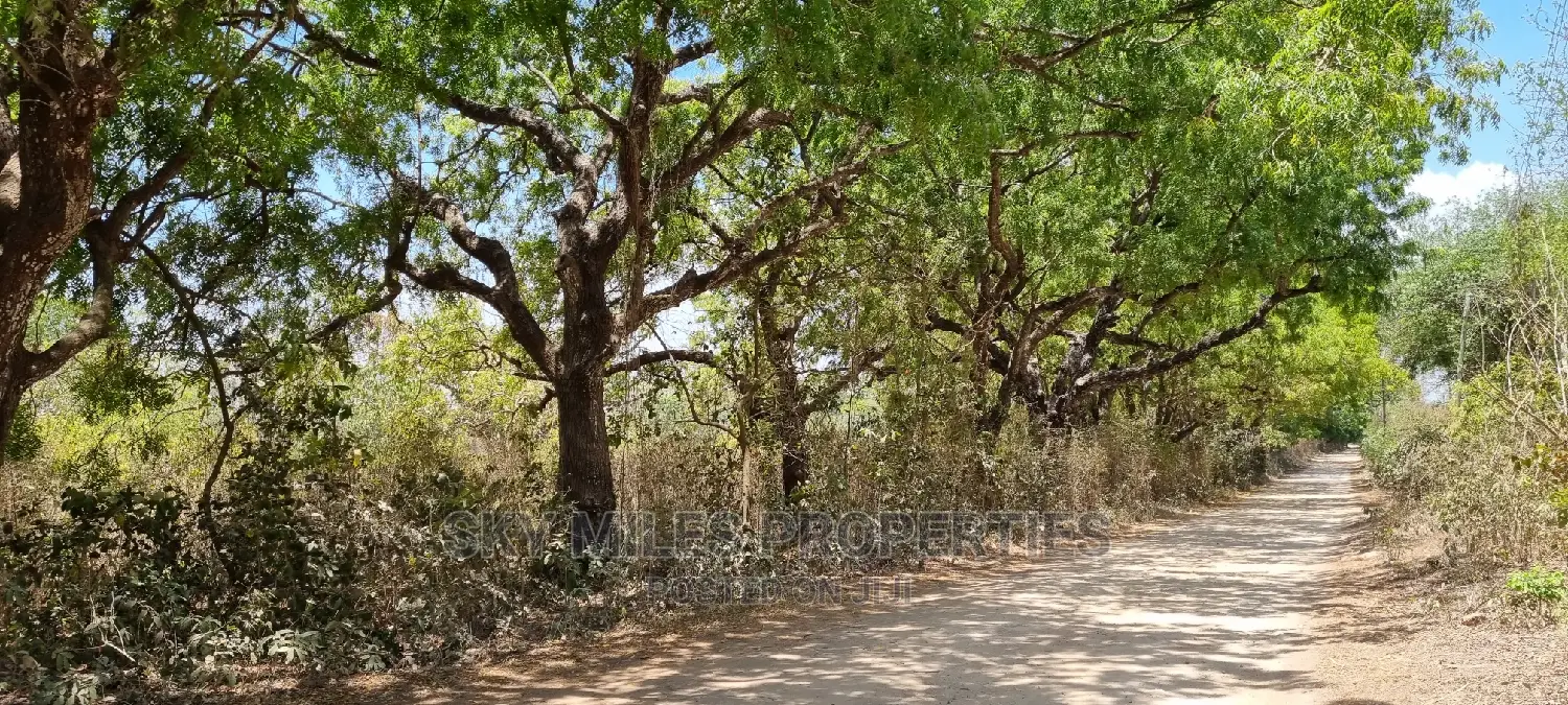 75 Acre Land on Sale in Vipingo Kuruwitu