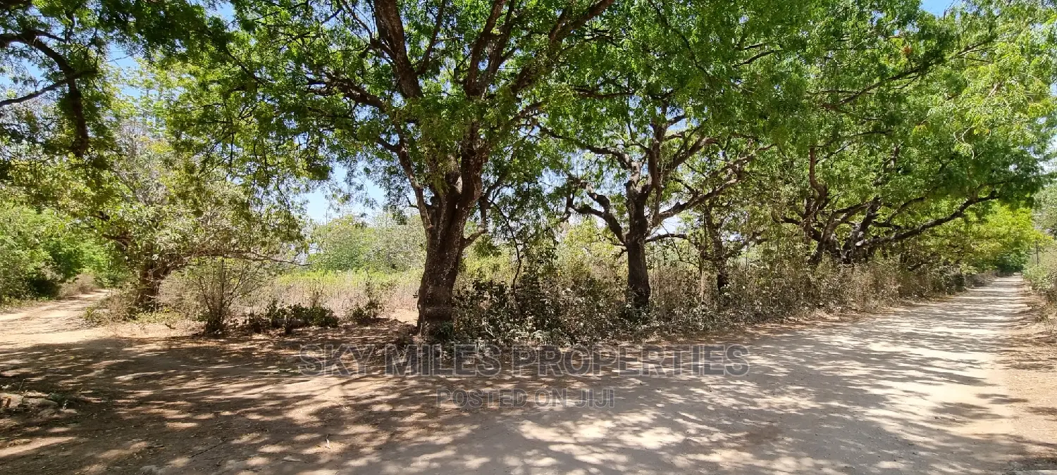 75 Acre Land on Sale in Vipingo Kuruwitu