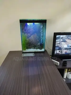 Office Desk Aquariums, Small Side Aquarium