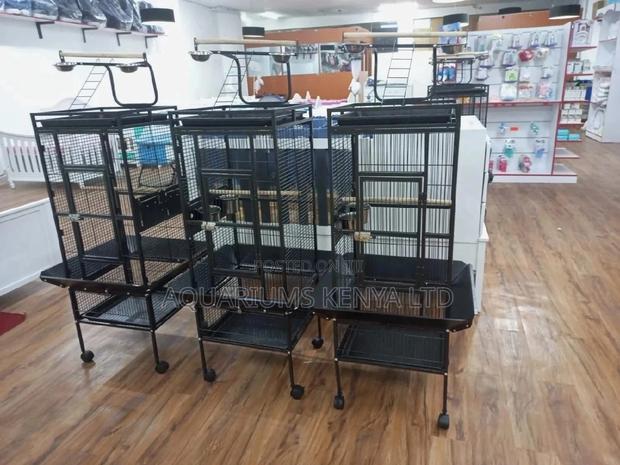 Big Bird Cage, Ornamental Bird Cage, Parrot Cages