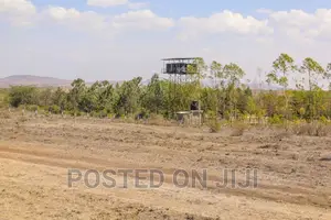!!Prime Plots for Sale!!^En
