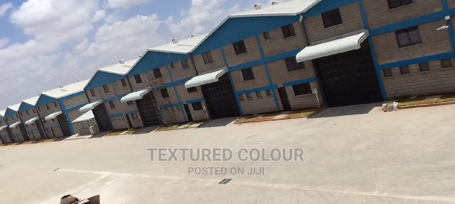 Wall Painting Services