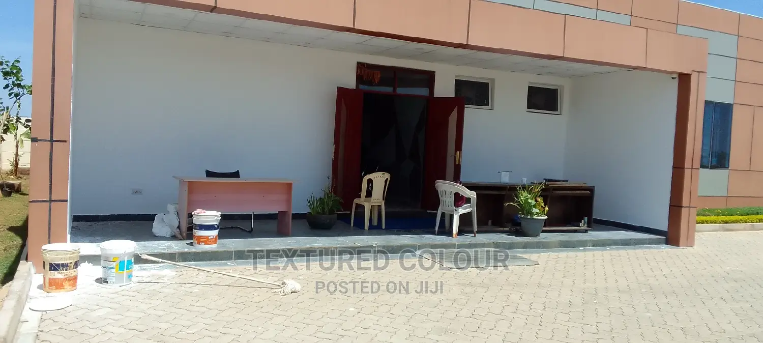 Wall Painting Services