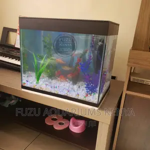 Aquarium for Kids