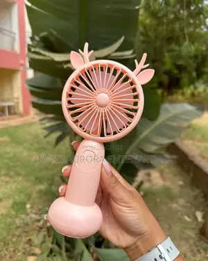 Portable Huge Fan