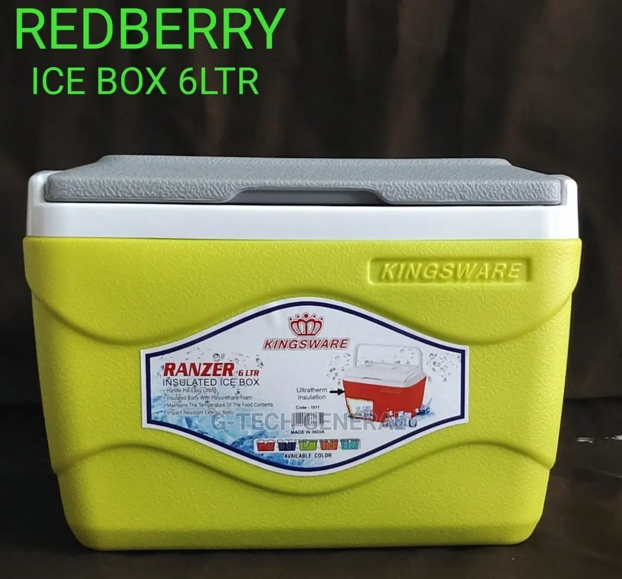 Insulated Icecube Box-6l