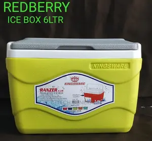 Insulated Icecube Box-6l