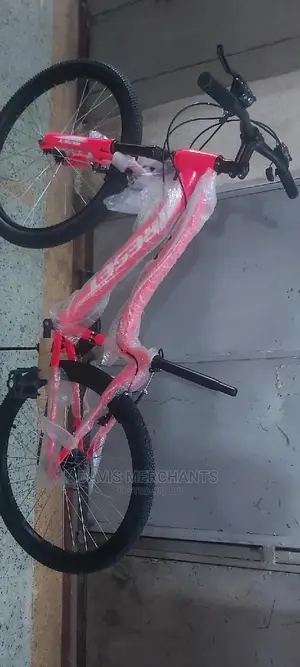 Sports Bike Size 24 Suitable for Teenage Girls
