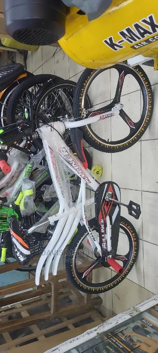 Bike Size 20 With Alloy Rims