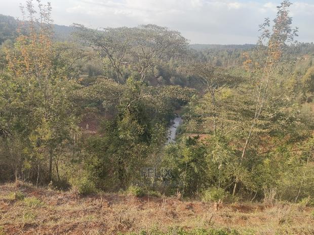 Karatina Wariruta / Wakamata - main view