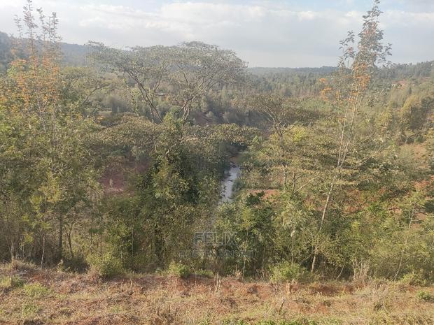 Karatina Wariruta / Wakamata - thumbnail 2