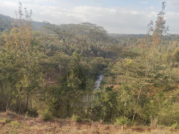 Karatina Wariruta / Wakamata - thumbnail 3