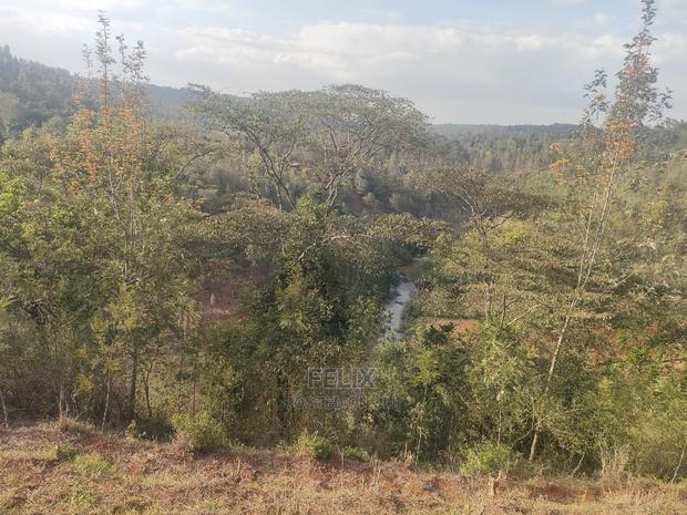 Karatina Wariruta / Wakamata - thumbnail 4